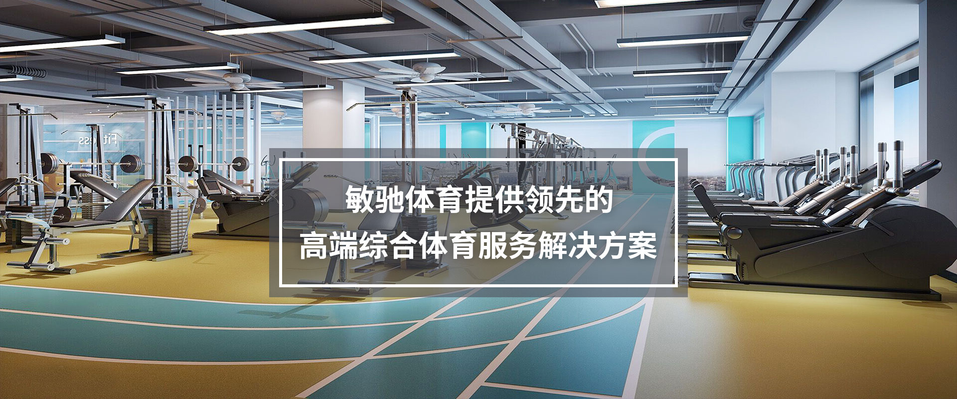 一码特内部资料